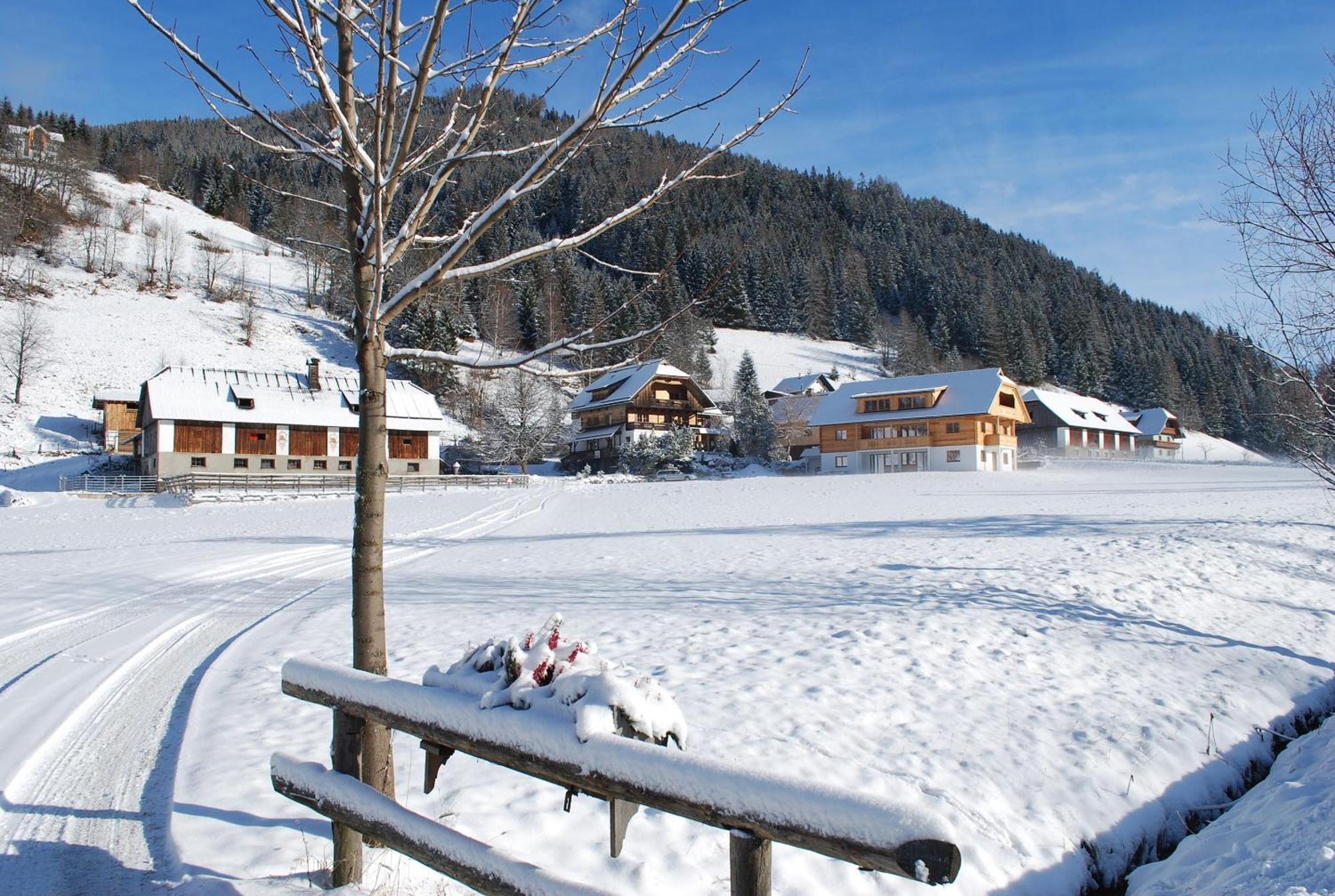 Biohof Seidl Bad Kleinkirchheim Exterior foto