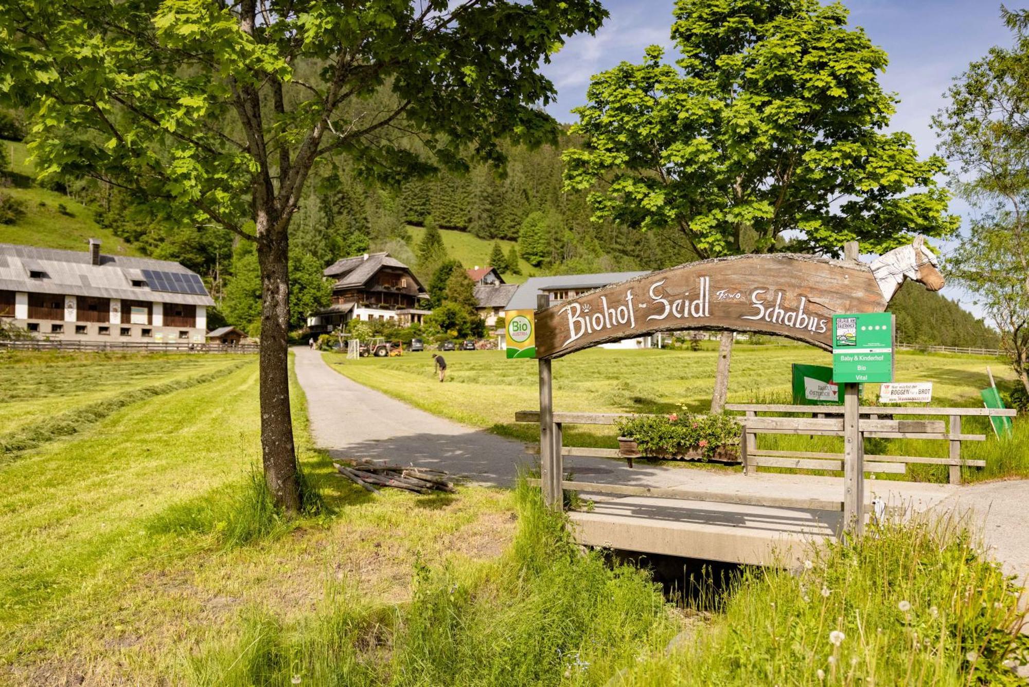 Biohof Seidl Bad Kleinkirchheim Exterior foto